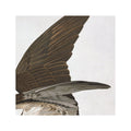 Birds of America - OSPREY by John James AUDOBON - Foundry