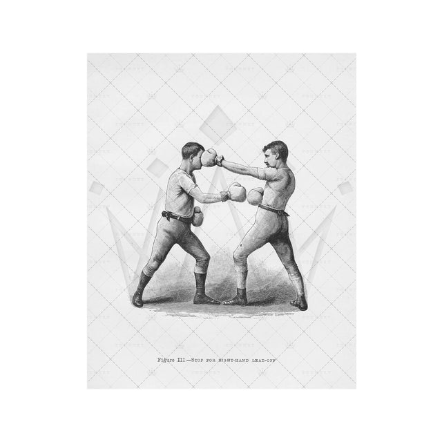 Boxing Illustration - Figure III – Foundry