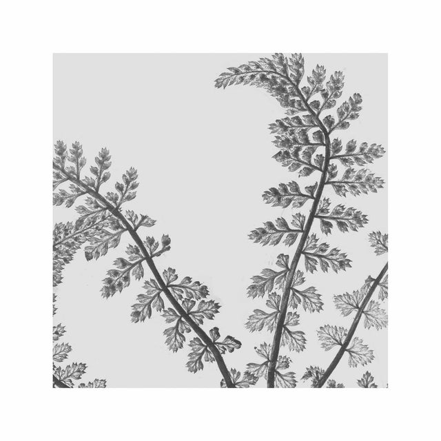 FERN ART: 1859 ENGLISH FERN #03 - Foundry