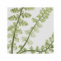 FERN ART: 1859 ENGLISH FERN #03 - Foundry