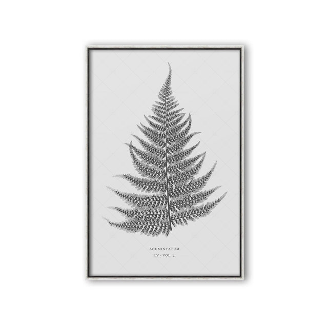 FERN ART: 1859 ENGLISH FERN #05 - Foundry