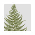 FERN ART: 1859 ENGLISH FERN #05 - Foundry