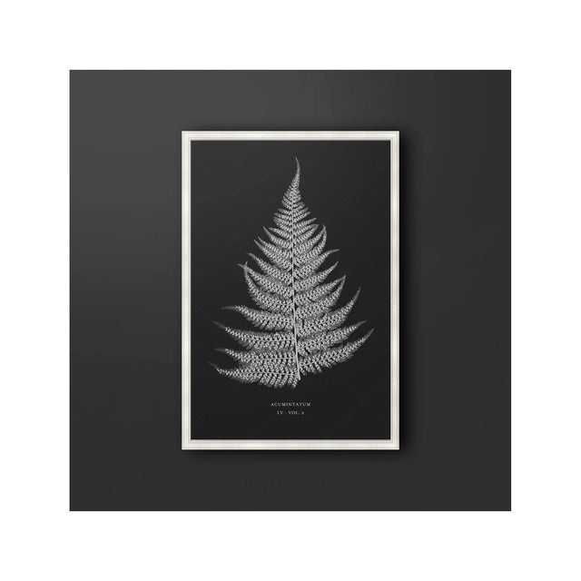 FERN ART: 1859 ENGLISH FERN #05 - Foundry