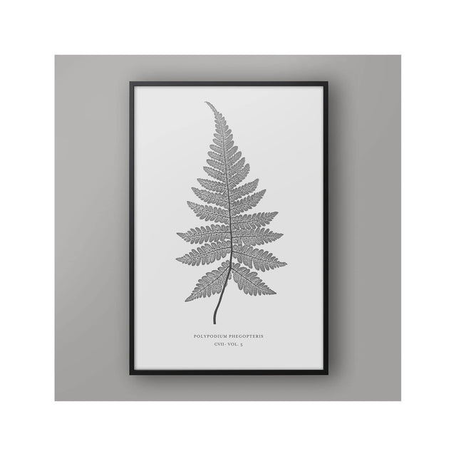 FERN ART: 1859 ENGLISH FERN #09 - Foundry