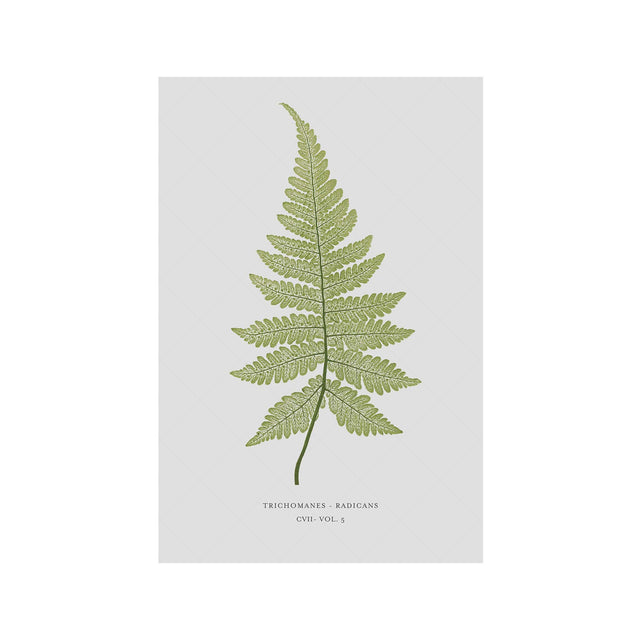 FERN ART: 1859 ENGLISH FERN #09 - Foundry