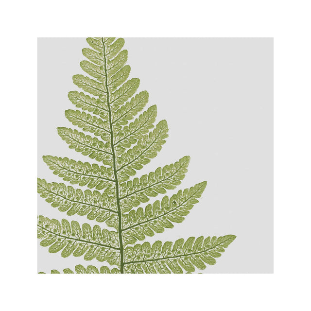 FERN ART: 1859 ENGLISH FERN #09 - Foundry