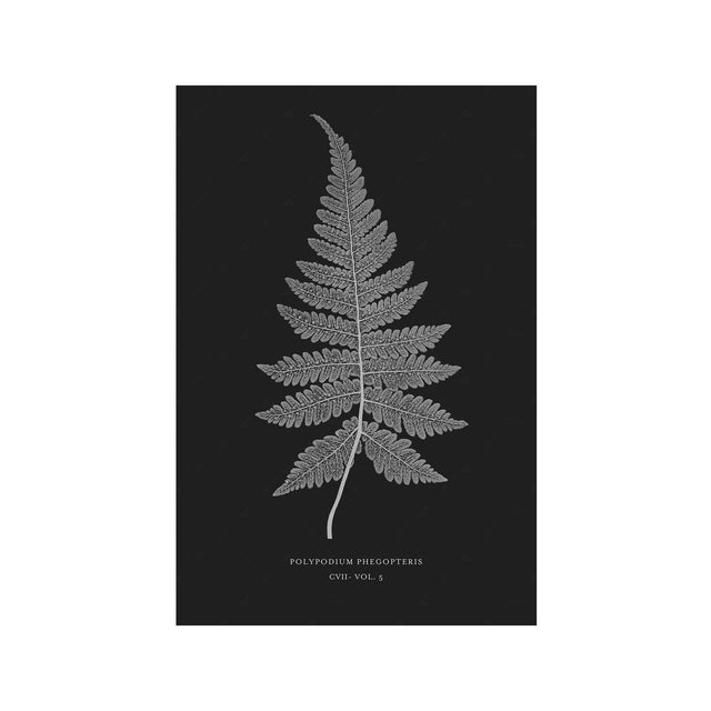 FERN ART: 1859 ENGLISH FERN #09 - Foundry