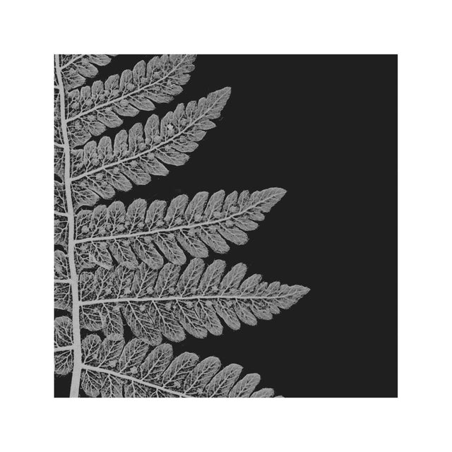 FERN ART: 1859 ENGLISH FERN #09 - Foundry