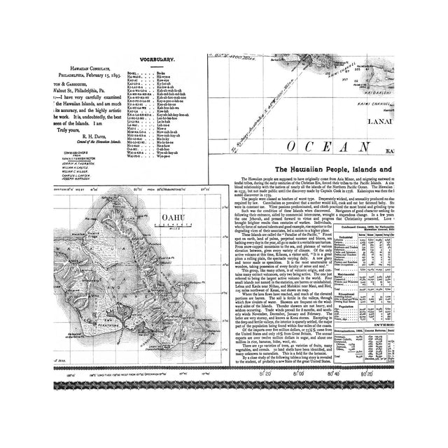 HAWAII Topographical Map - Foundry
