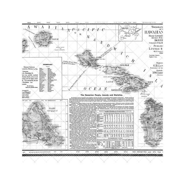 HAWAII Topographical Map - Foundry