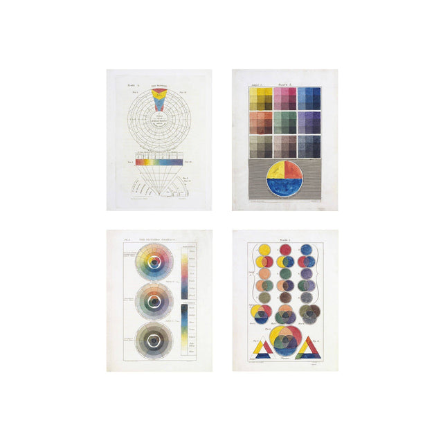 HAYTER'S COLOR THEORY Collection - Foundry