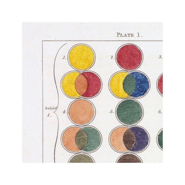 HAYTER'S COLOR THEORY - Plate 1 - Foundry