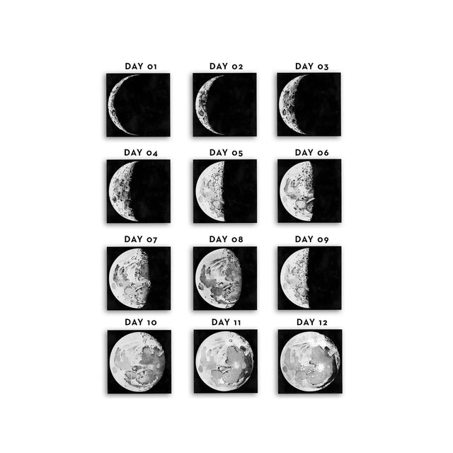 LUNAR PHASES ILLUSTRATION Collection - Foundry