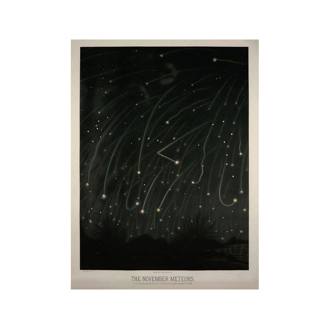 NIGHT SKY ASTRONOMY - November Meteor - Foundry