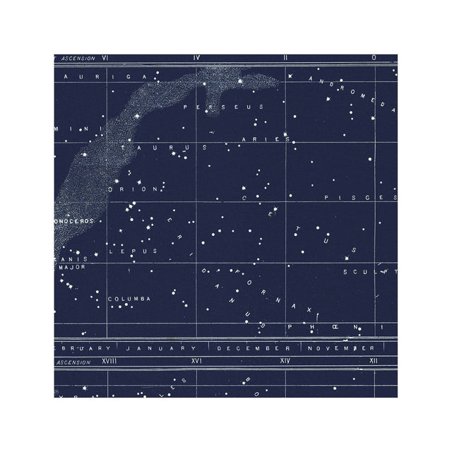 POLAR and EQUATORIAL Stars Map - Foundry