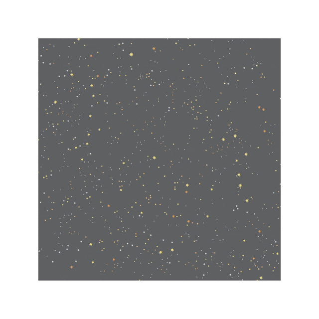 SEASON STARS in the NIGHT SKY - Foundry